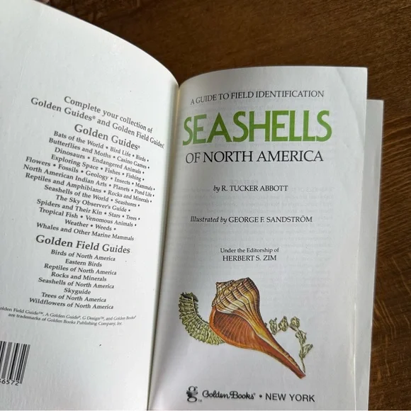 Seashells of North America A Guide to Field Identification - Picture 3 of 11